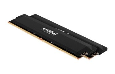 Imagem oficial da Crucial mostrando módulos de memória DDR5 para desktop