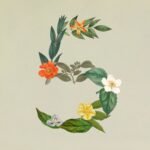 Imagem oficial da Anthropic para o lançamento do Claude Sonnet 5
