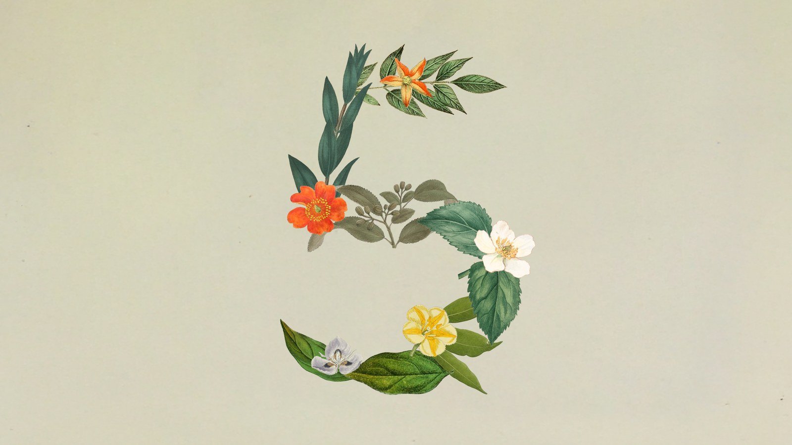 Imagem oficial da Anthropic para o lançamento do Claude Sonnet 5